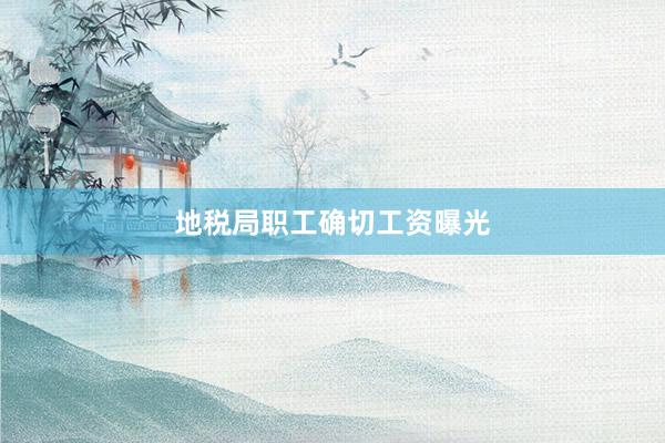 地税局职工确切工资曝光